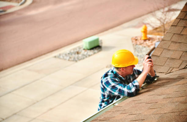 Best Roof Gutter Cleaning  in New Tazewell, TN