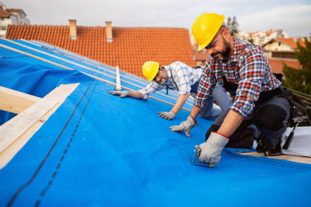Best Roof Repair Services  in New Tazewell, TN