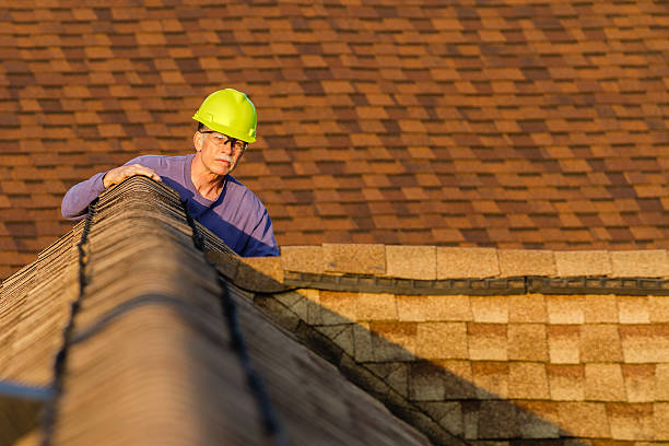 Best Metal Roofing Contractor  in New Tazewell, TN