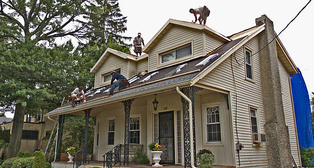 Best Roofing Contractors for Homes  in New Tazewell, TN