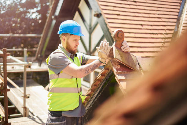 Best Roof Maintenance Services  in New Tazewell, TN