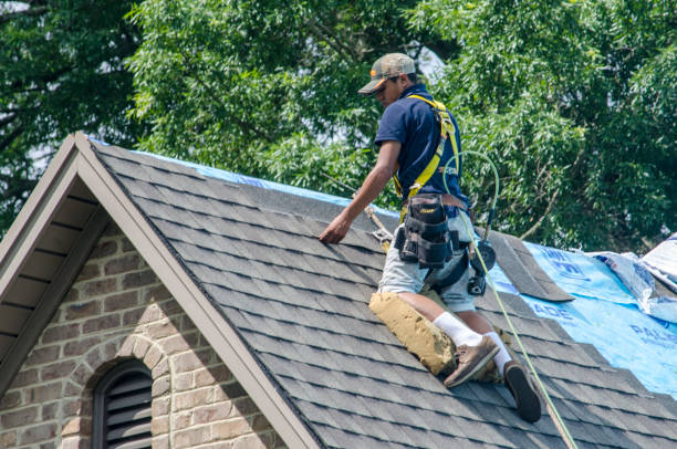  New Tazewell, TN Roofing Contractor Pros